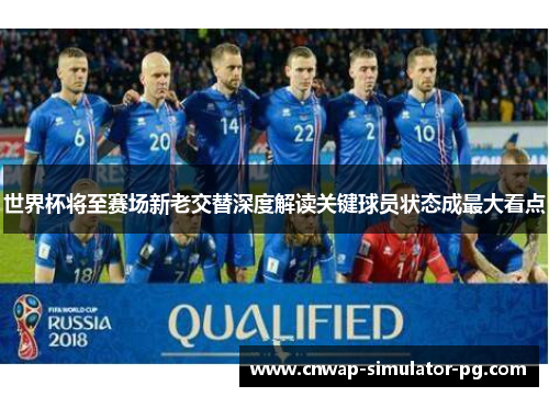 世界杯将至赛场新老交替深度解读关键球员状态成最大看点