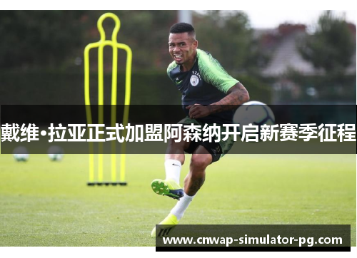 戴维·拉亚正式加盟阿森纳开启新赛季征程