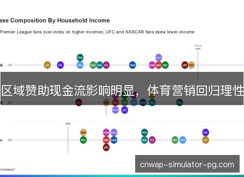 区域赞助现金流影响明显,体育营销回归理性 区域赞助现金流影响明显,体育营销回归理性